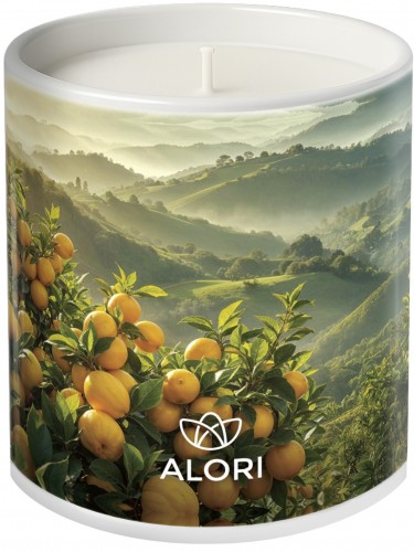 Sojina sveča - Citrusi - bela 300ml